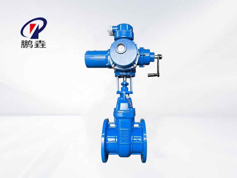 球铁电动闸阀