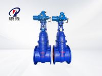 Z945T-10Q电动闸阀