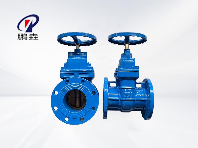 防护闸阀Z45T-16Q