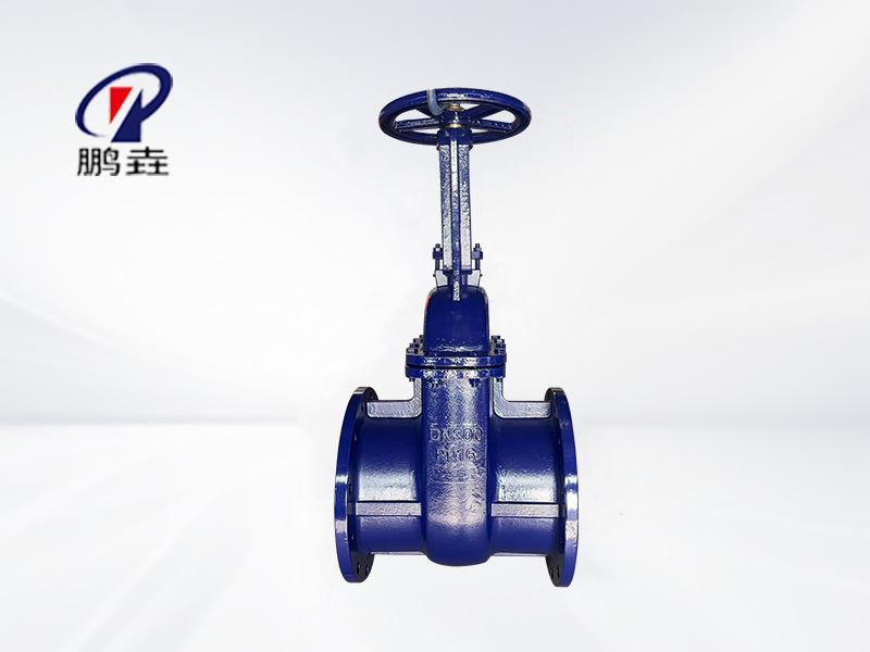 俄标硬密封闸阀